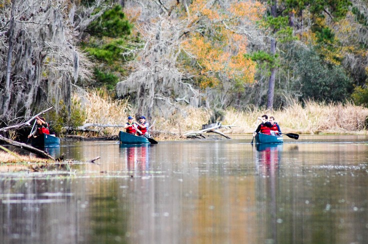 20180111-20180111-dsc_0247_39021398494_o