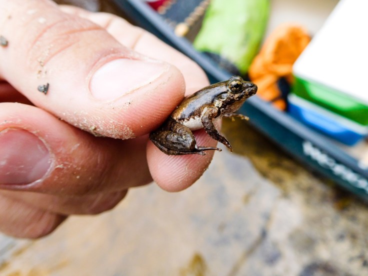 20180111-20180111-dscn8329_24856425367_o