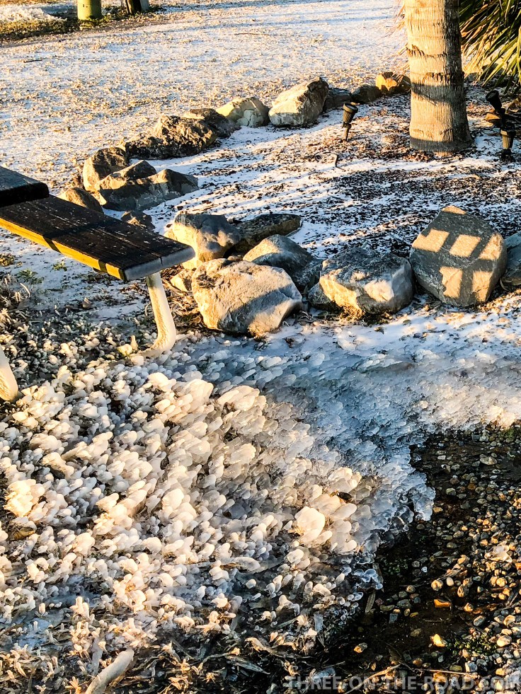 20180117-20180117-IMG_1546