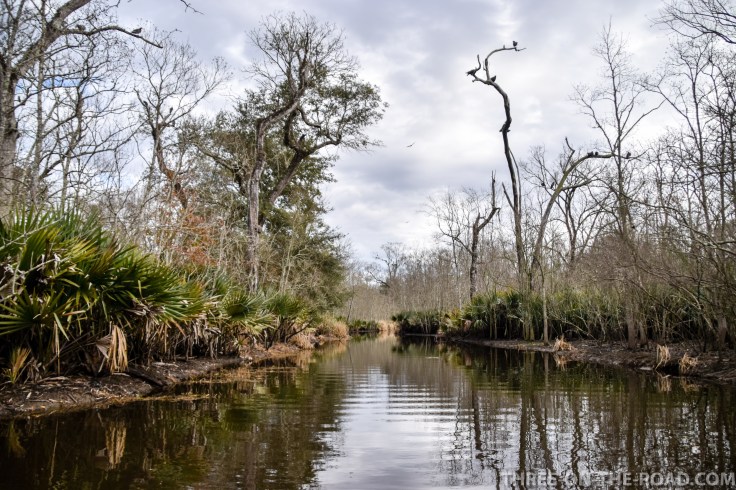 20180120-20180120-DSC_0020