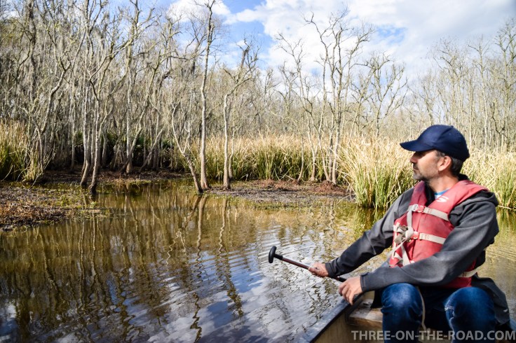 20180120-20180120-DSC_0066