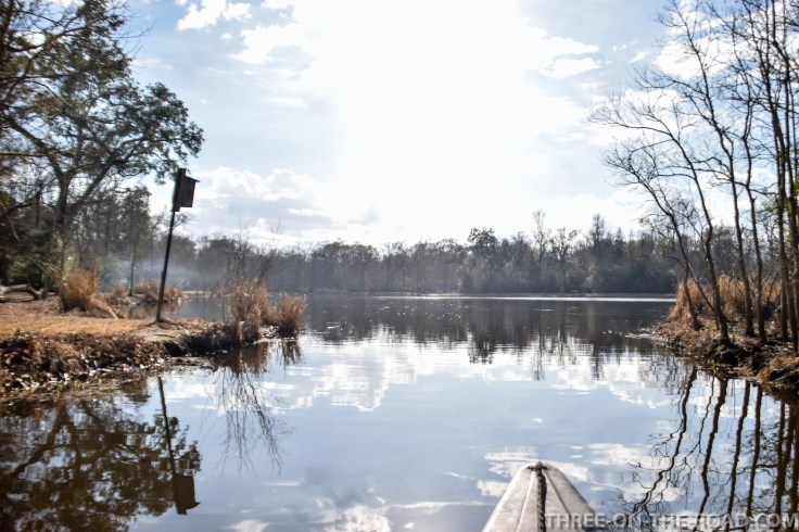 20180120-20180120-DSC_0090