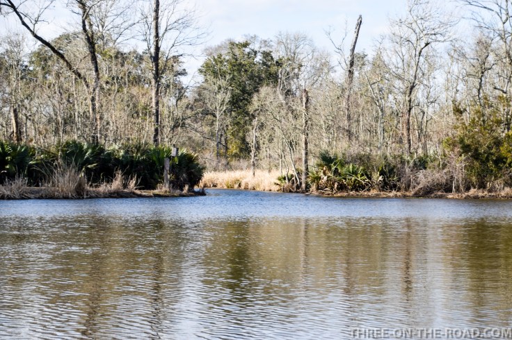 20180120-20180120-DSC_0099