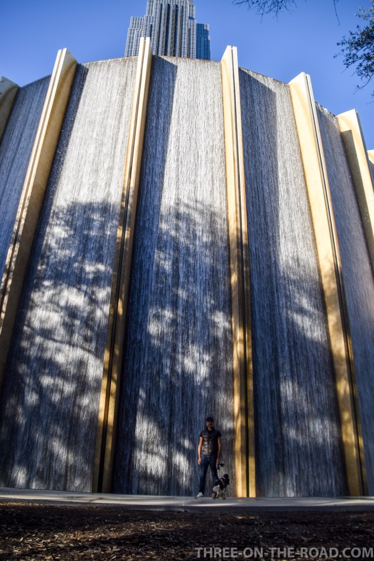 20180122-20180122-DSC_0080