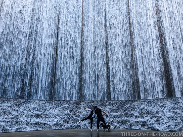 20180122-20180122-IMG_1696