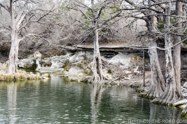 20180125-20180125-DSC_0006