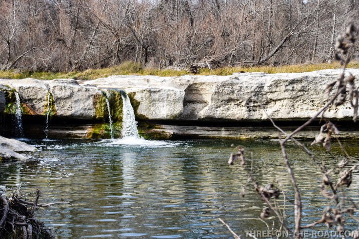 20180125-20180125-DSC_0050