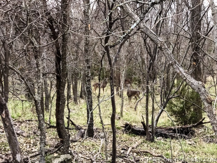 20180126-20180126-IMG_1825