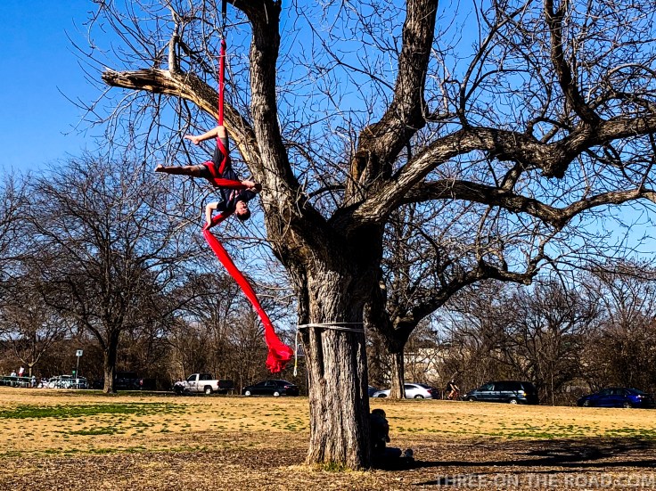 20180128-20180128-IMG_1467