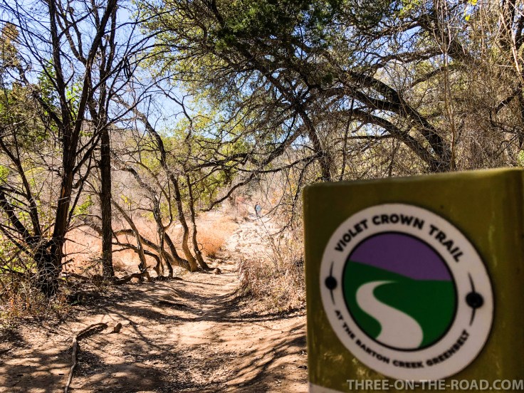 20180129-20180129-IMG_1937