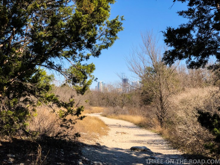 20180129-20180129-IMG_1942