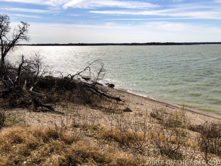 20180131-20180131-IMG_1984