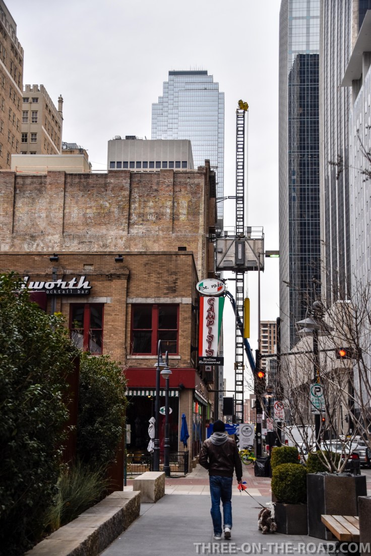 20180205-20180205-DSC_0021