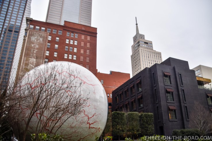 20180205-20180205-DSC_0022