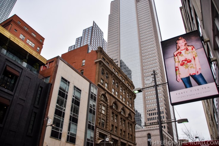 20180205-20180205-DSC_0048