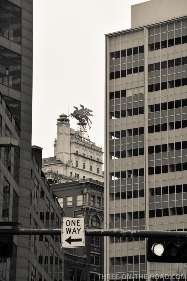 20180205-20180205-DSC_0069