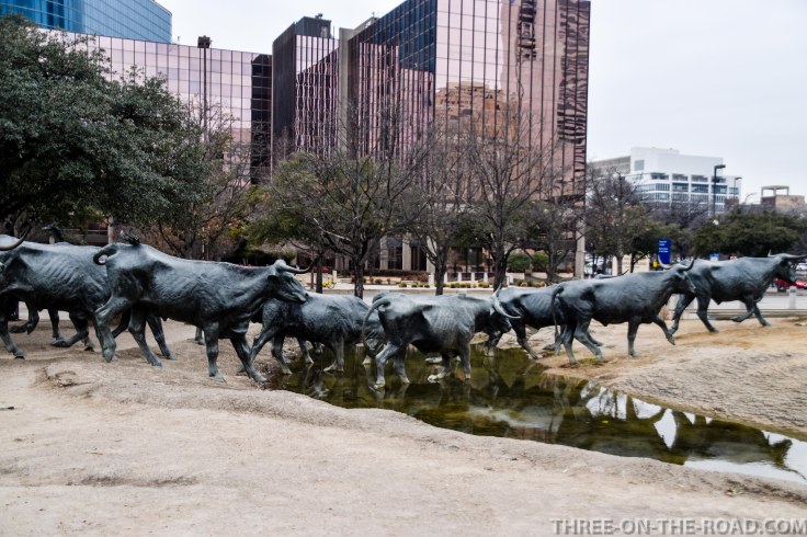 20180205-20180205-DSC_0114