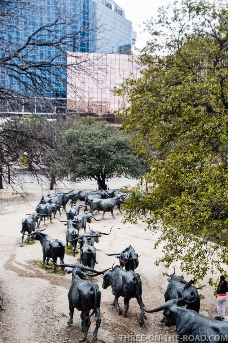 20180205-20180205-DSC_0120