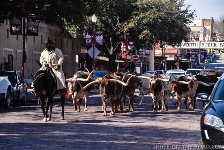 20180207-20180207-DSC_0028