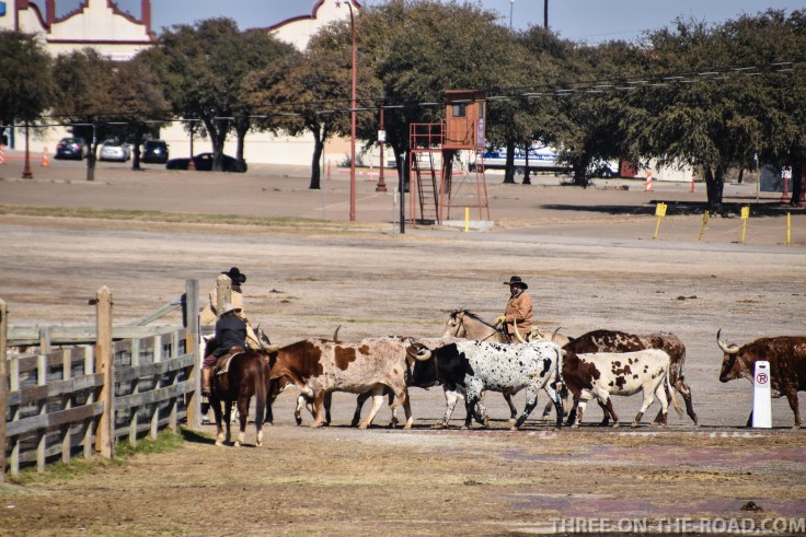 20180207-20180207-DSC_0052