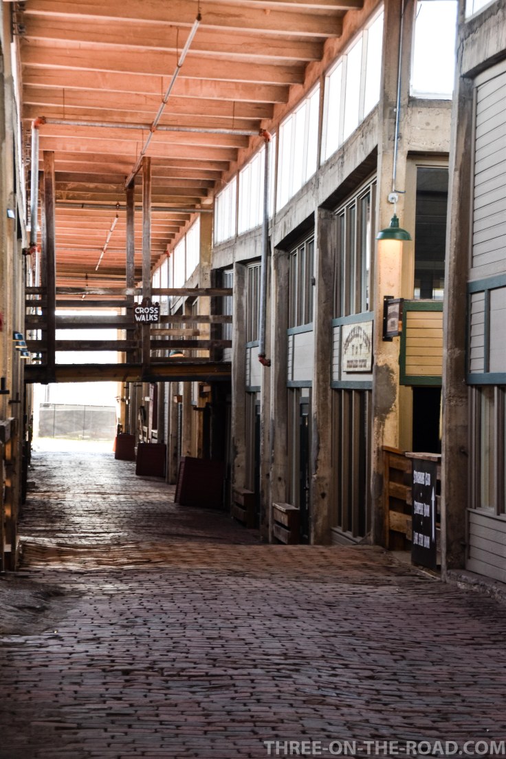 20180207-20180207-DSC_0064