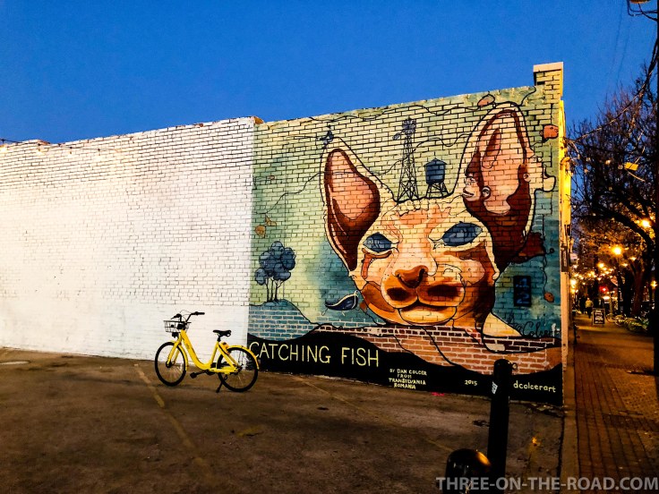 20180207-20180207-IMG_2298