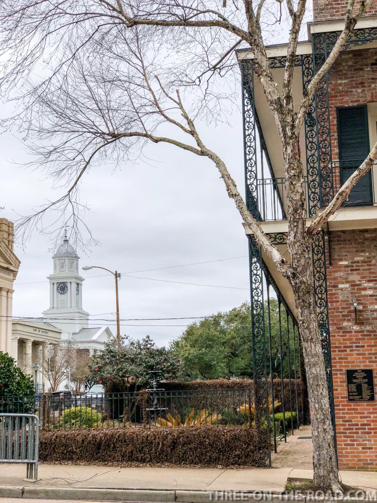 20180209-20180209-IMG_2355