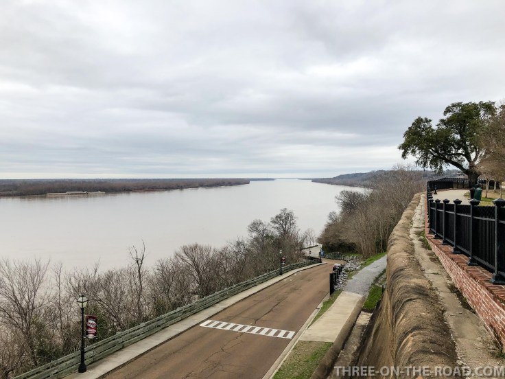 20180209-20180209-IMG_2359