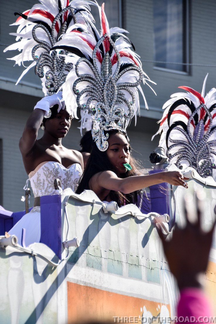 20180213-20180213-DSC_0219