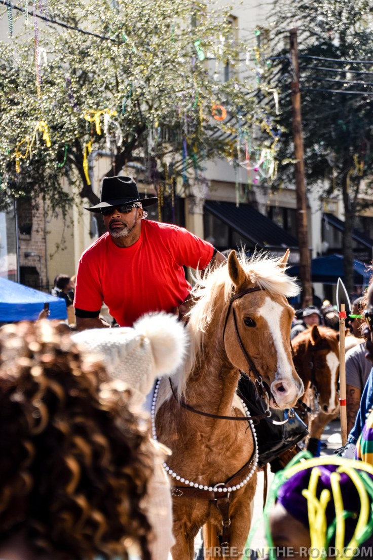 20180213-20180213-DSC_0296