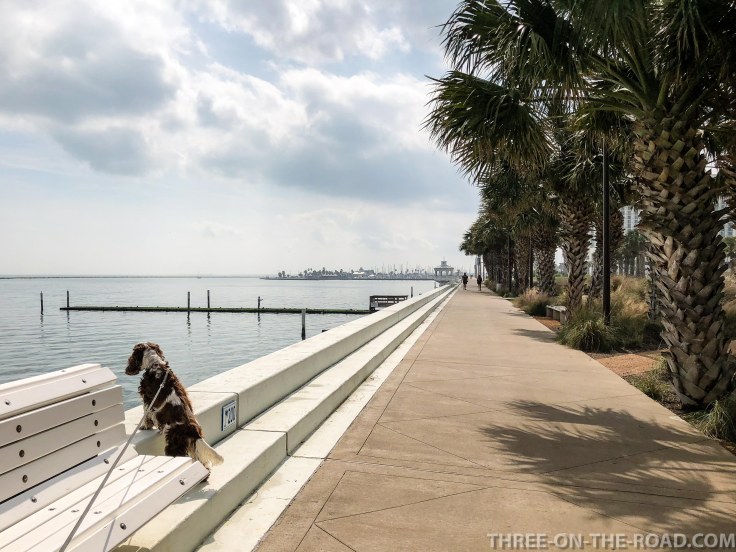 20180217-20180217-IMG_2695