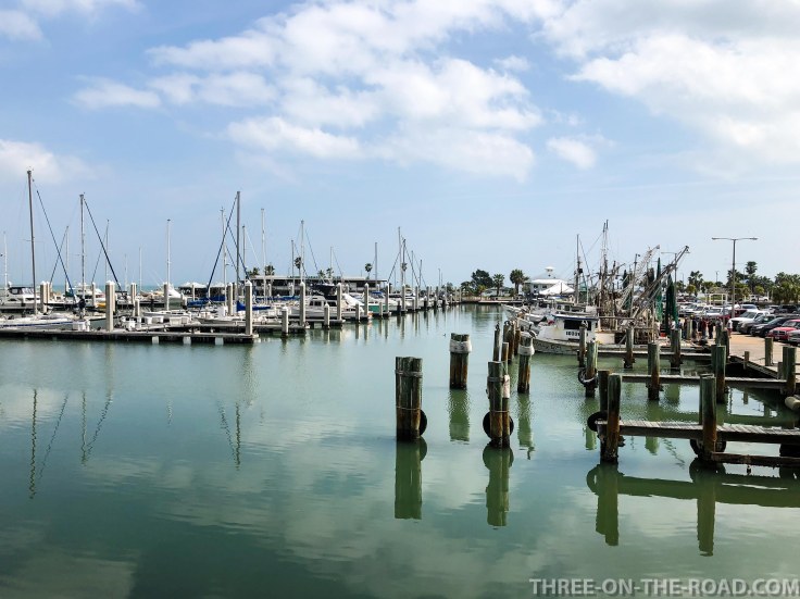 20180217-20180217-IMG_2703