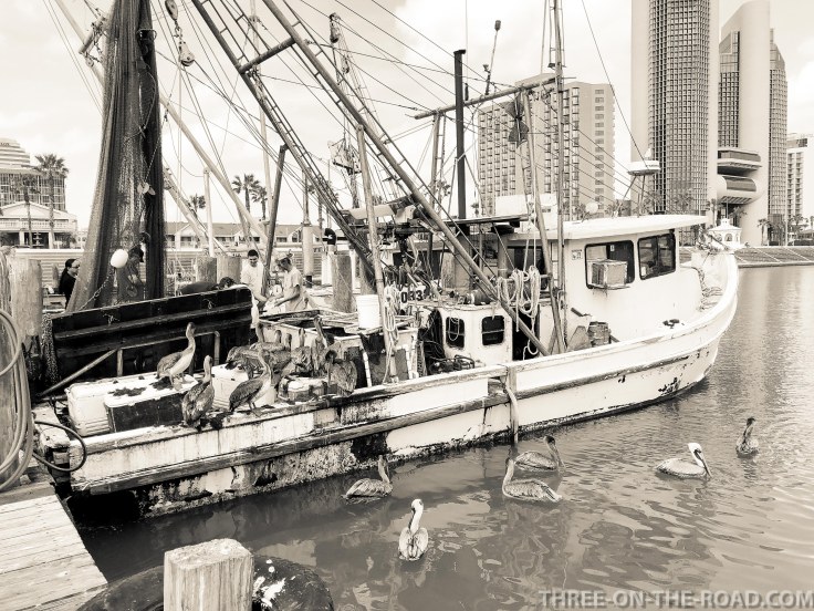 20180217-20180217-IMG_2709