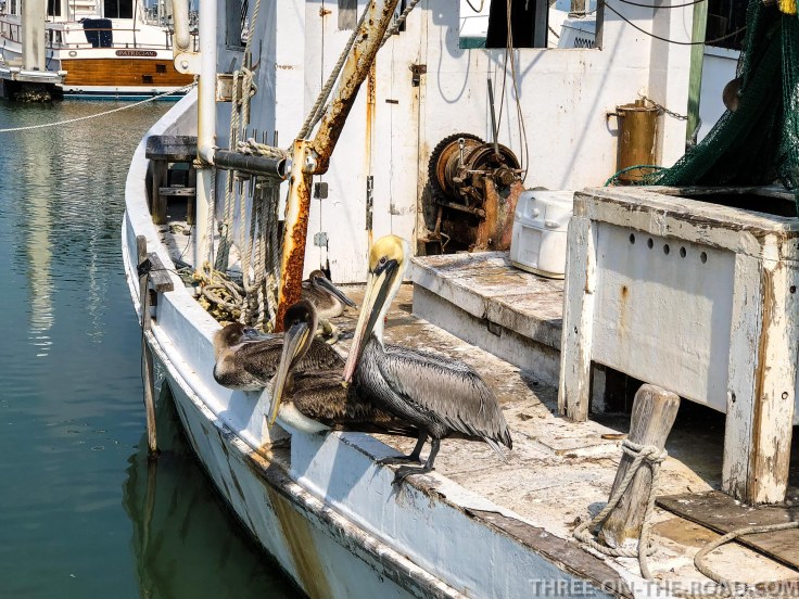 20180217-20180217-IMG_2731