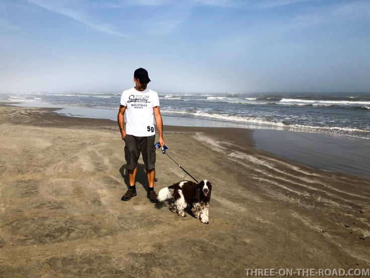 20180217-20180217-IMG_2781