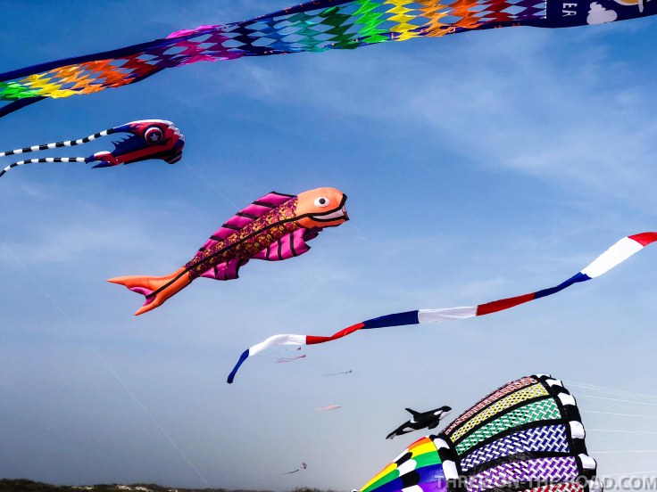 20180217-20180217-IMG_2791