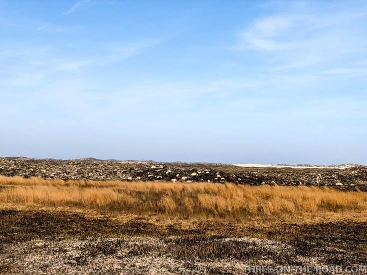 20180217-20180217-IMG_2840