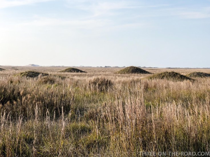 20180217-20180217-IMG_2846