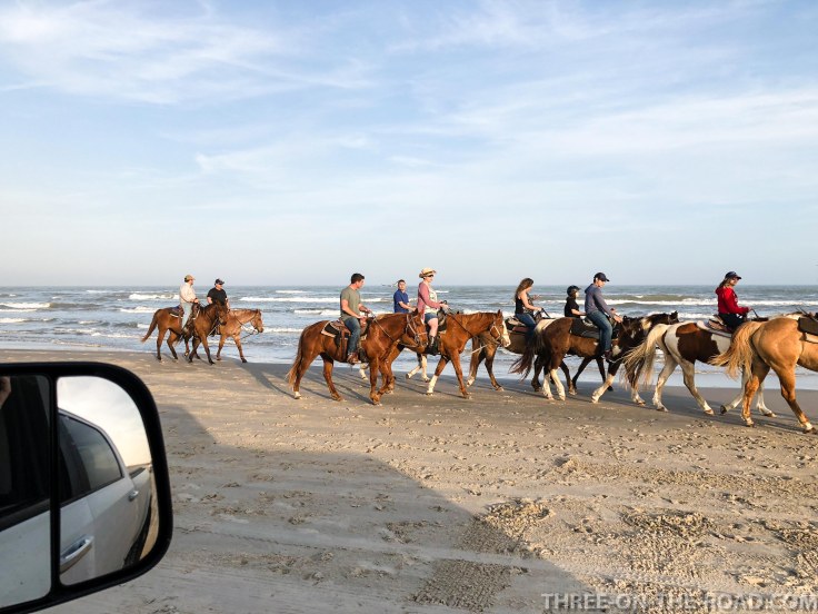 20180217-20180217-IMG_2855