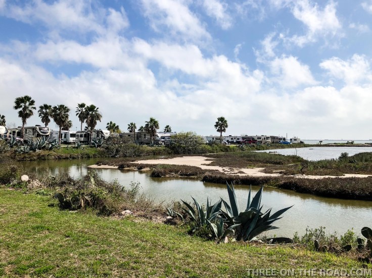 20180218-20180218-IMG_2894