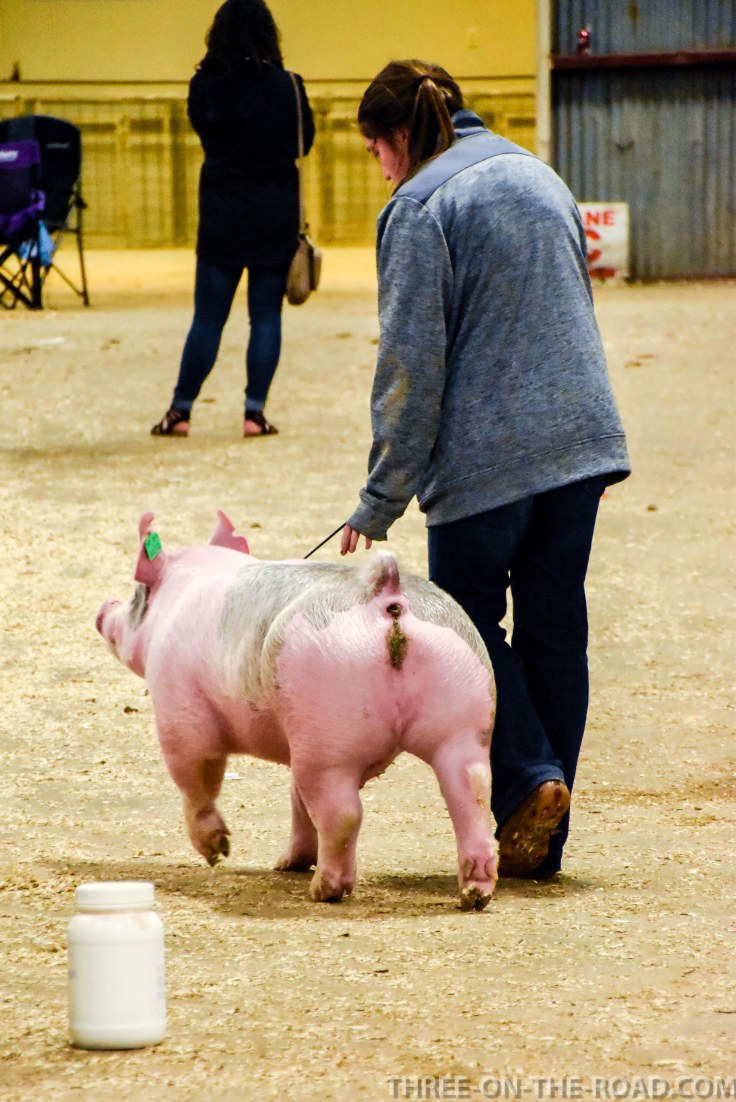 20180221-20180221-DSC_0007