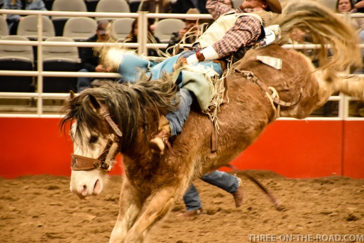 20180221-20180221-DSC_0031