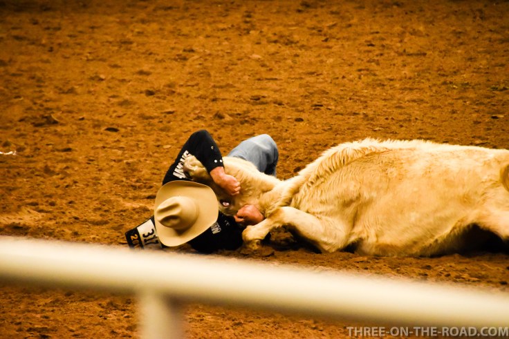 20180221-20180221-DSC_0043