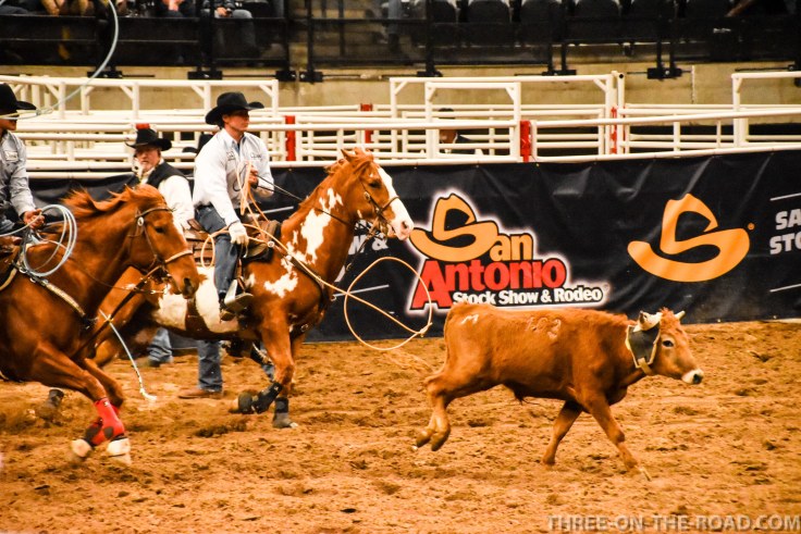 20180221-20180221-DSC_0045