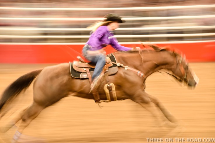 20180221-20180221-DSC_0097