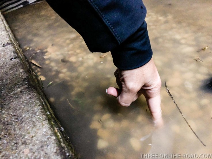 20180223-20180223-IMG_3022