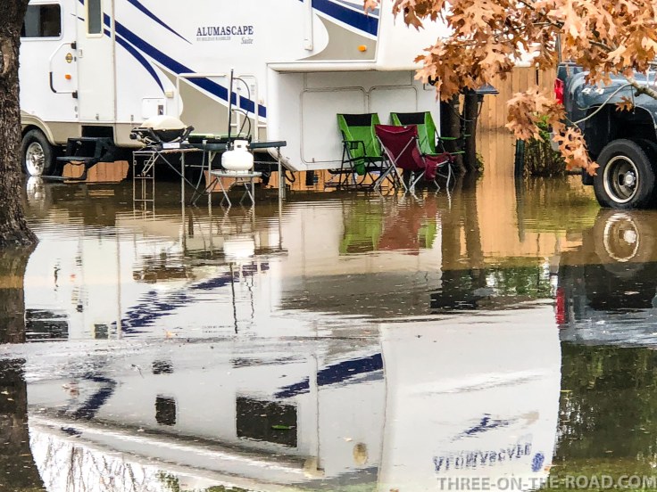 20180223-20180223-IMG_3033