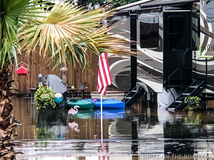 20180223-20180223-IMG_3040