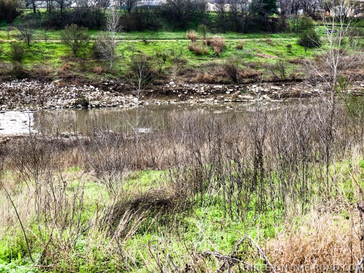 20180224-20180224-IMG_3137