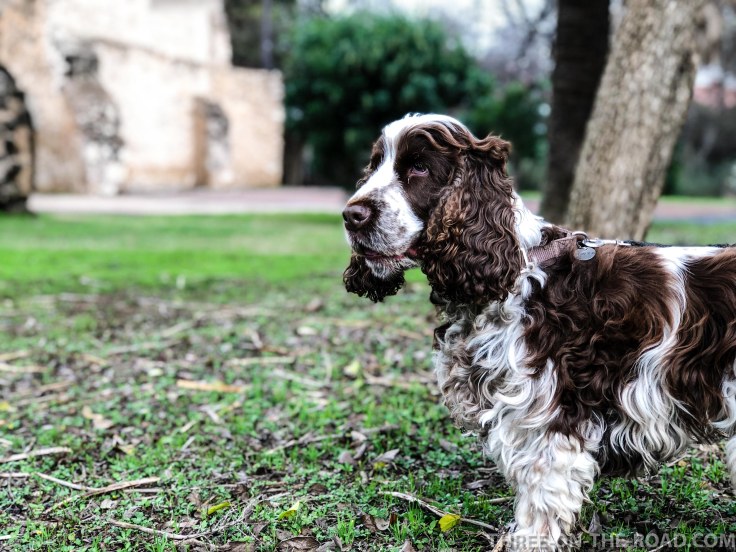 20180224-20180224-IMG_E3158